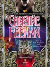 Cover image for Dark Storm